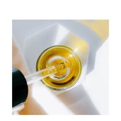 Codage Paris The Oil 2 Codage Paris The Oil - Image 2